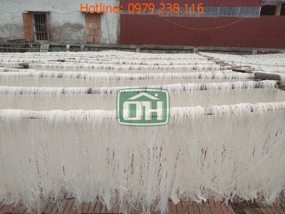 Đầu mối cung cấp bún miến phở khô tại Hà Nội