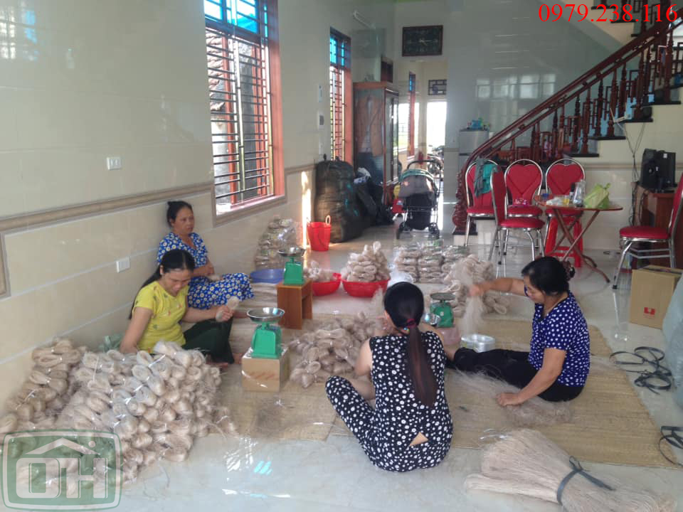 Miến dong ông Hiệp