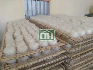 Nhà phân phối Mỳ phở - Phở khô cung cấp tại Ninh Thuận